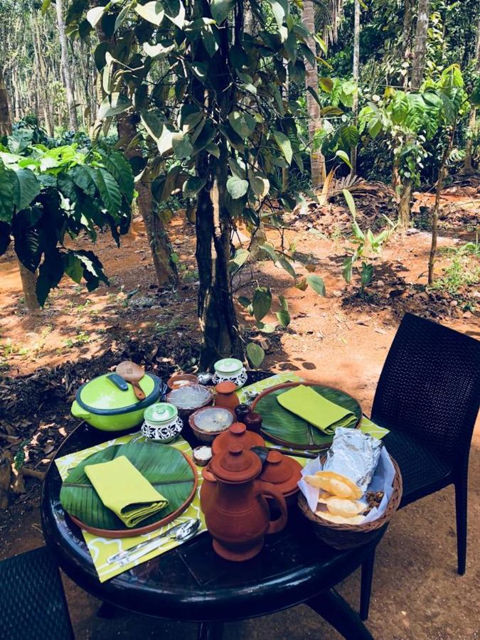 Kerala Wild Stay Kanthalloor Esterno foto